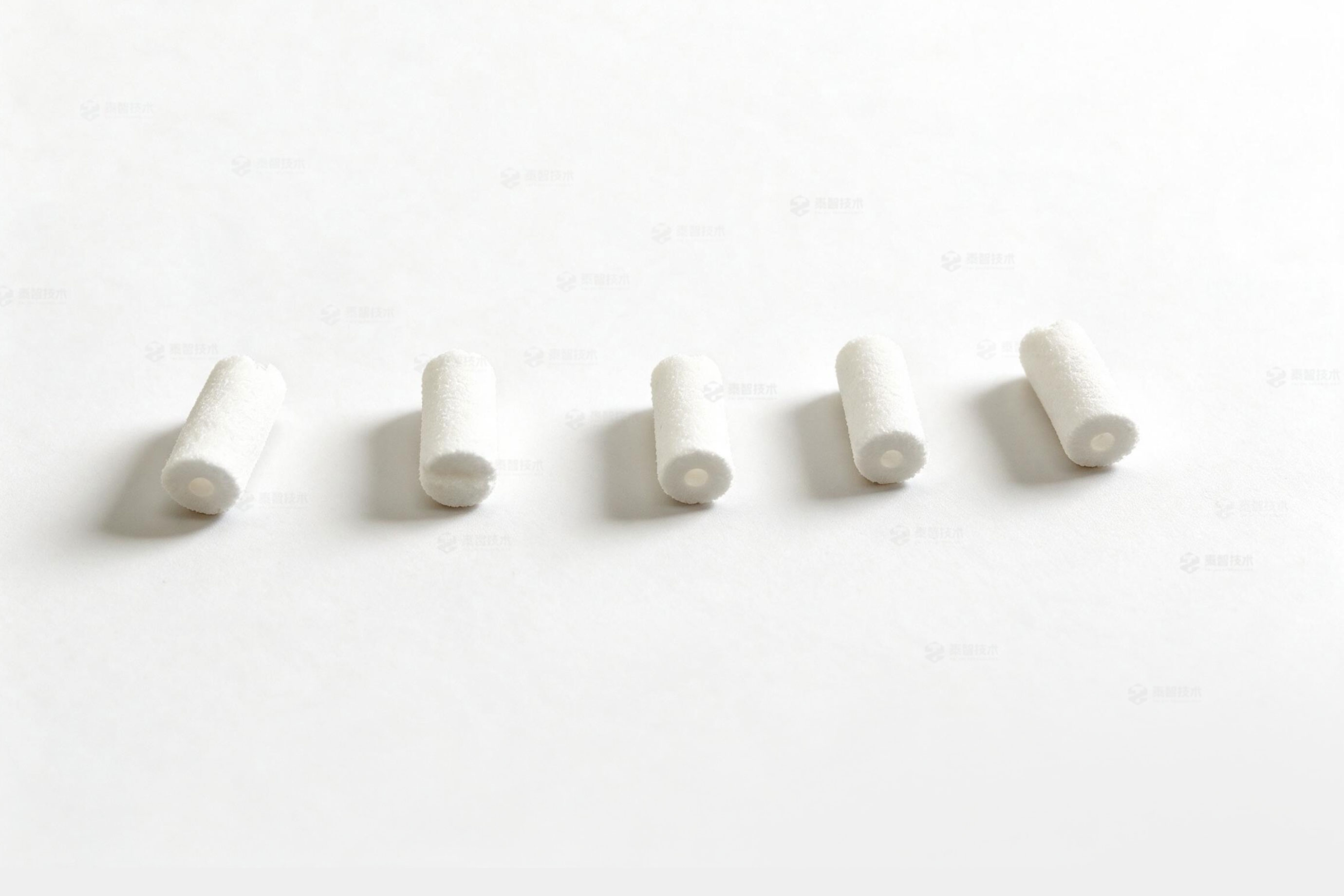 白色 PTFE 滤芯(过滤白头) 5 个装 替换安捷伦原装 01018-22707 安装于 HPLC 泵排气阀内