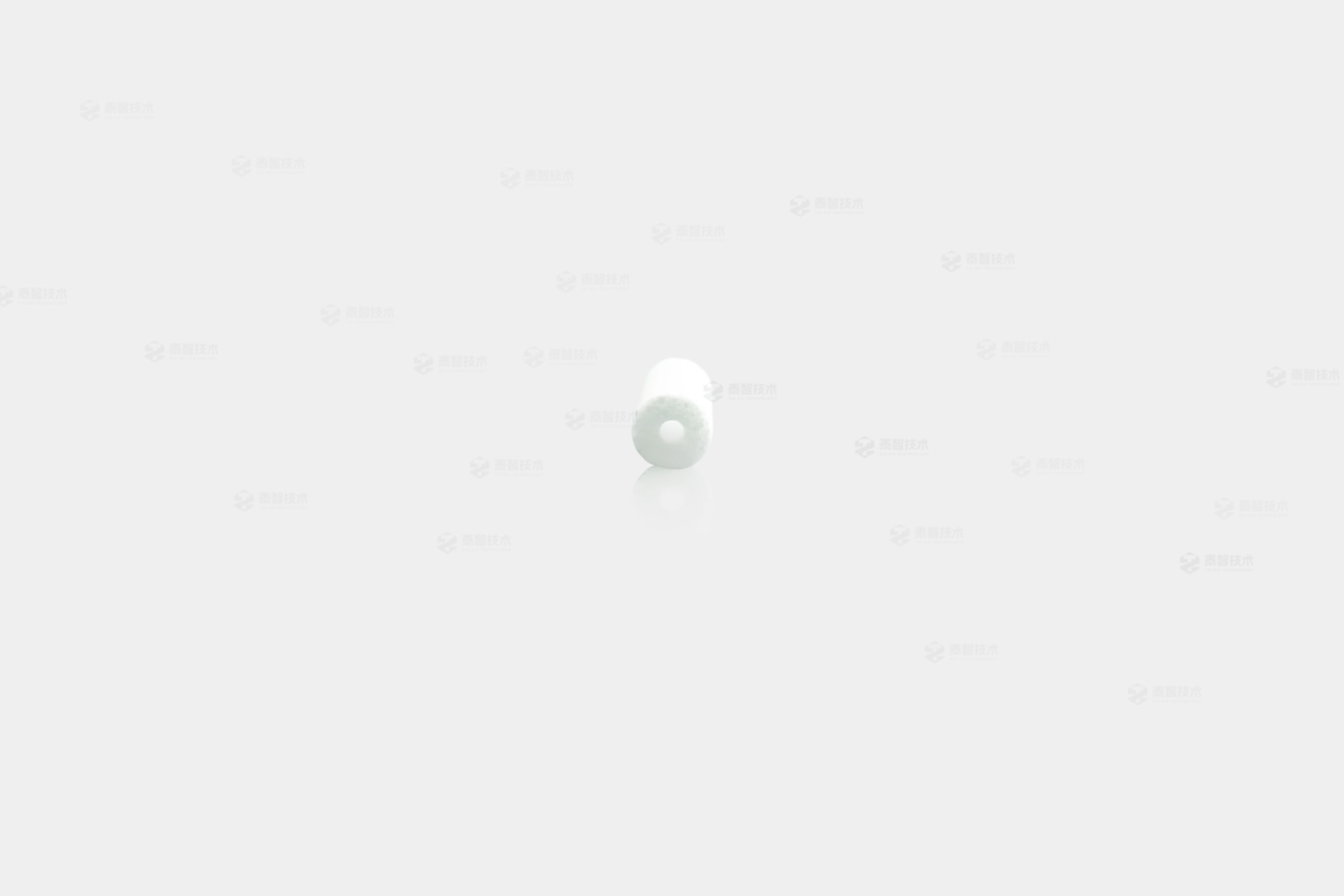 PTFE 滤芯（过滤白头）— 安装于排气阀 | 适用于安捷伦 01018-22707